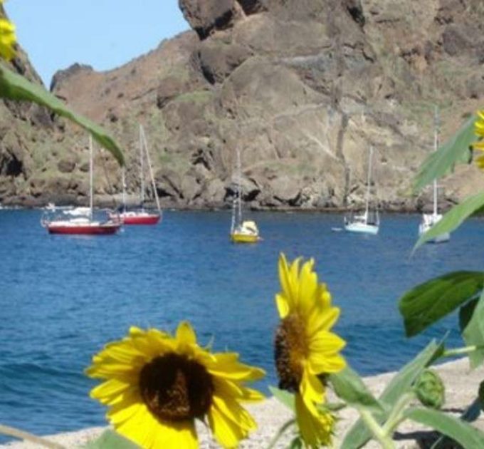 Roots Travel votre agence de voyage