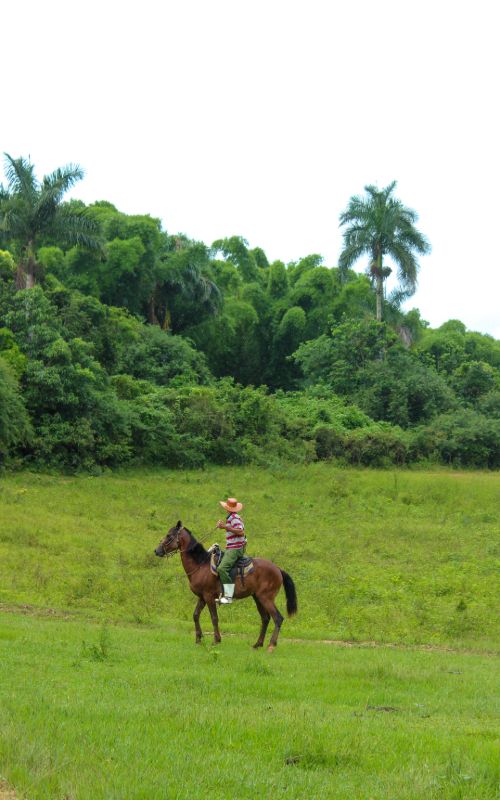 Jour 13 14 Cayo Levisa - Viñales