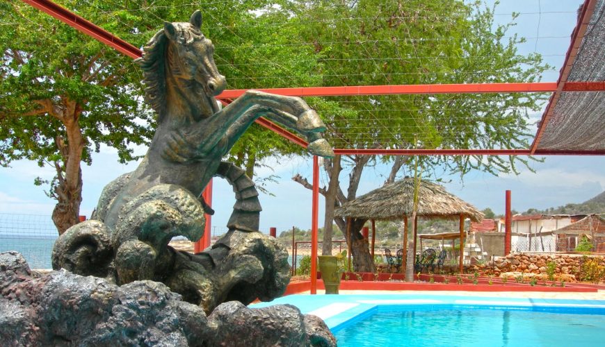 Roots Travel votre agence de voyage