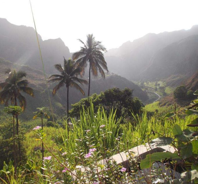 Roots Travel votre agence de voyage
