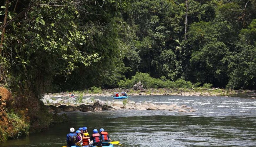 Roots Travel votre agence de voyage