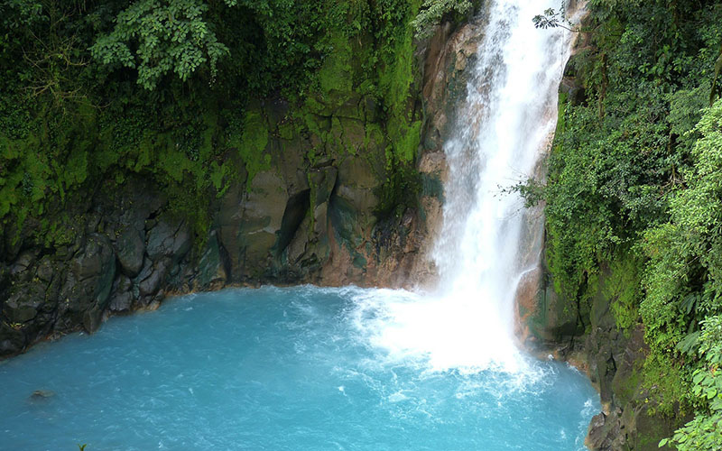 Jour 6 : Arrivée dans les forêts tropicales de Tenorio / Rio Celeste