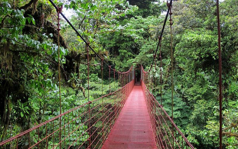 Jour 6 : Arrivée dans les forêts tropicales Tenorio et Rio Celeste