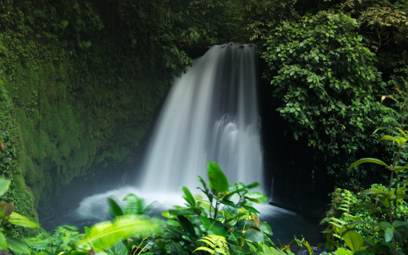 Jour 5 : Visite du Parc National Volcan Arenal