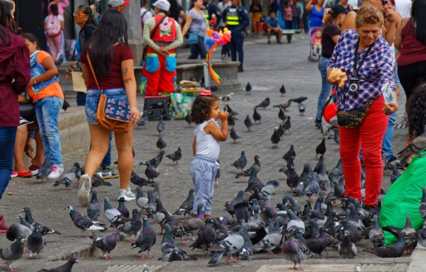 Visite guidée de San Jose
