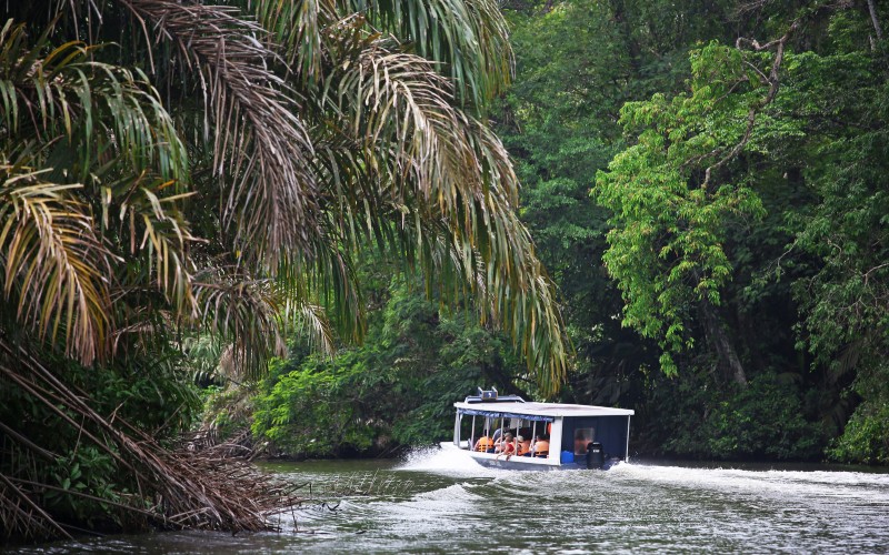 Jour 2 : Route vers la petite Amazonie : Tortuguero