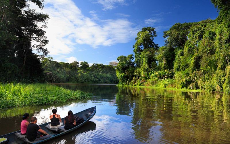 Jour 2 : Route vers la petite Amazonie : Tortuguero