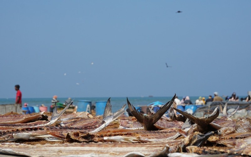 Jour 1 : Décollage pour Negombo