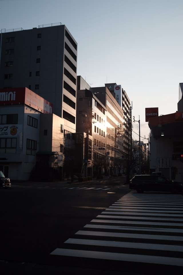 Jour 10 : Matsuyama - Vallée de l'Iya (Oboke)