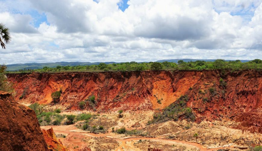 Roots Travel votre agence de voyage