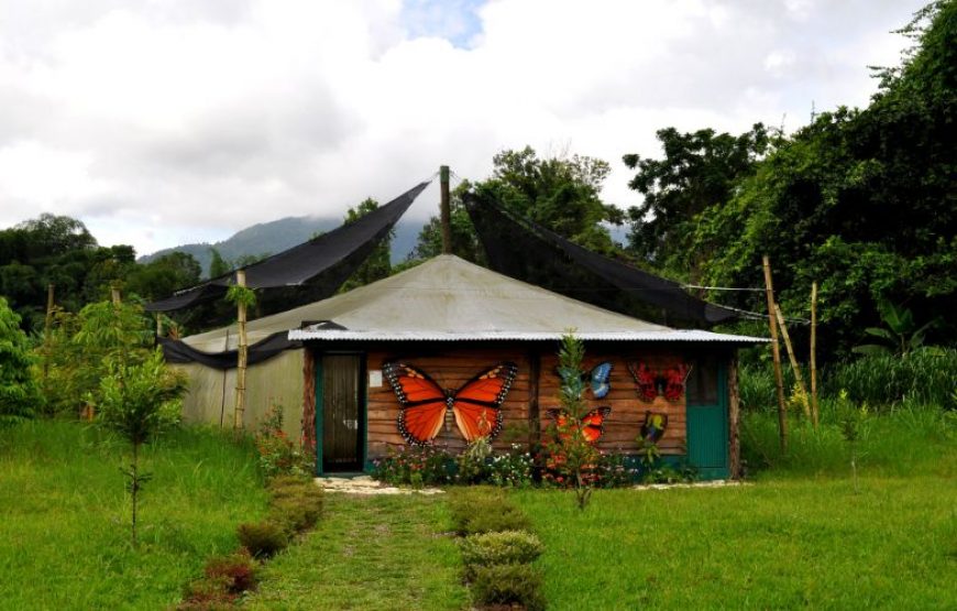 Raudaskrida Hotel & Guesthouse