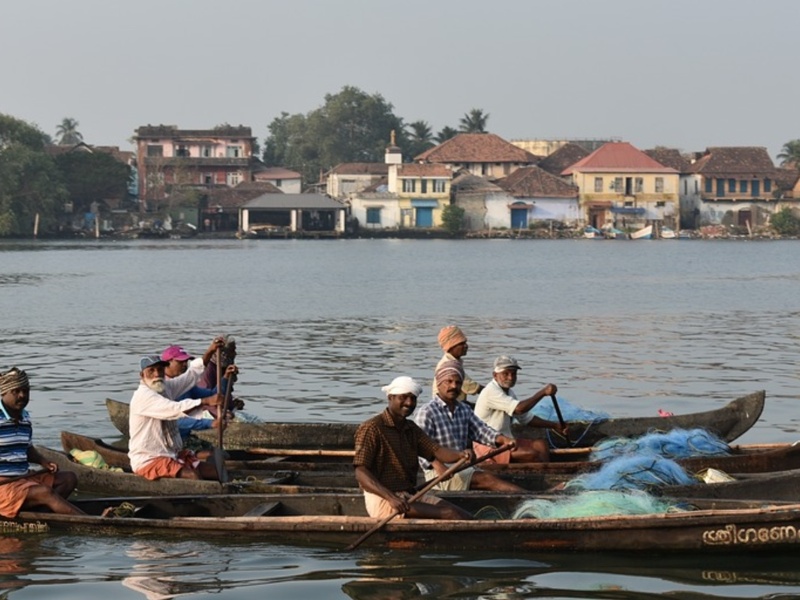 Jour 11 Kumarakom - Cochin (50 Kms /1h30) 