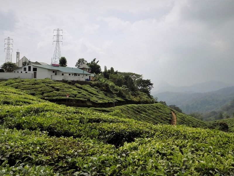 Jour 9 Madurai - Munnar