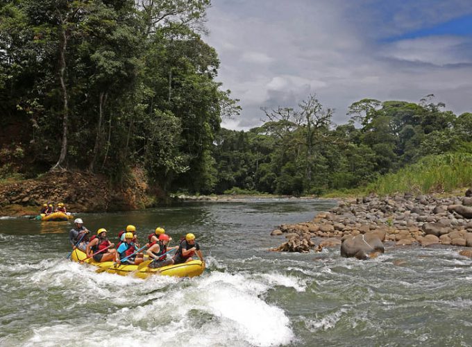 Roots Travel votre agence de voyage