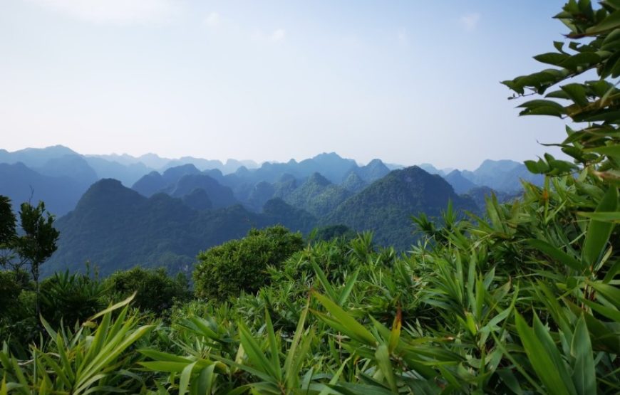 Dimmuborgir Guesthouse