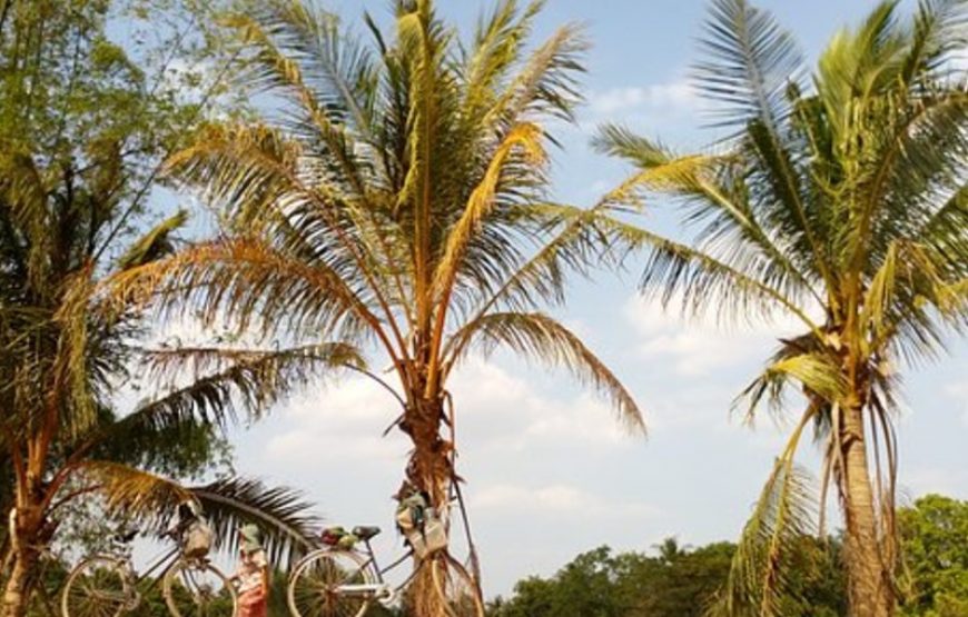 Icelandair Hotel Myvatn