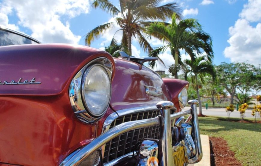 Dimmuborgir Guesthouse