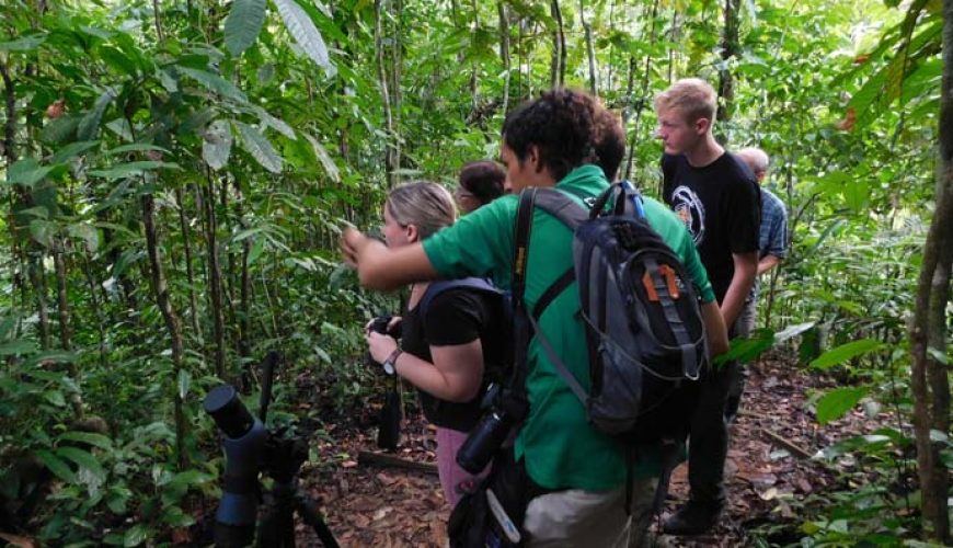 Roots Travel votre agence de voyage