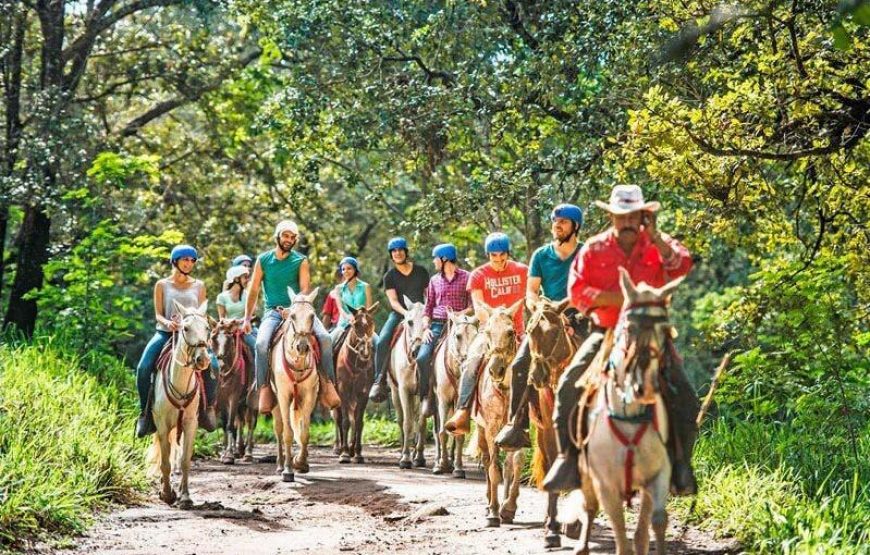 Excursion combinée de Rincón de la Vieja
