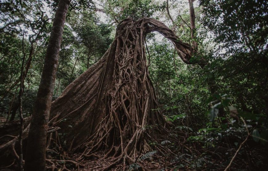 Excursion combinée de Rincón de la Vieja