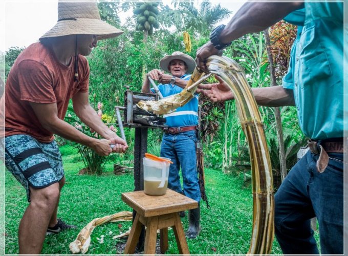 Roots Travel votre agence de voyage