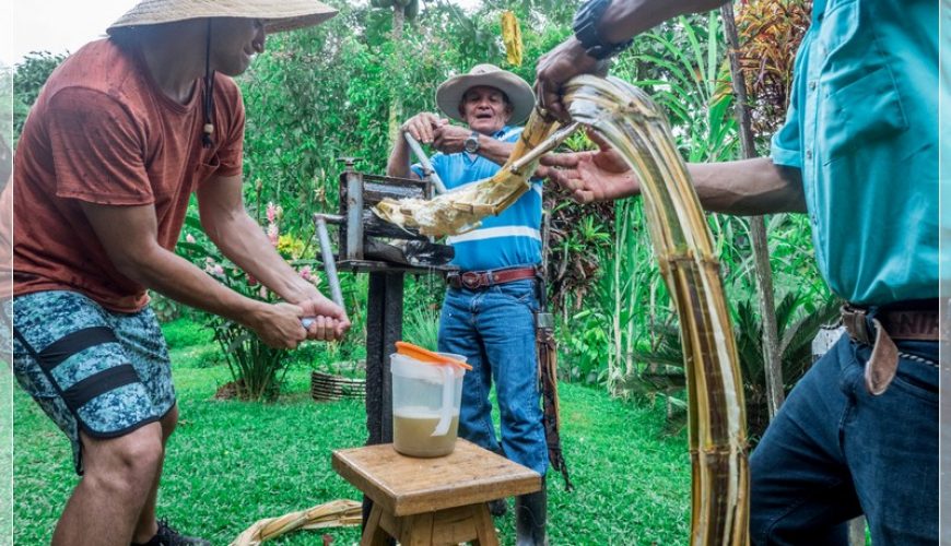 Roots Travel votre agence de voyage