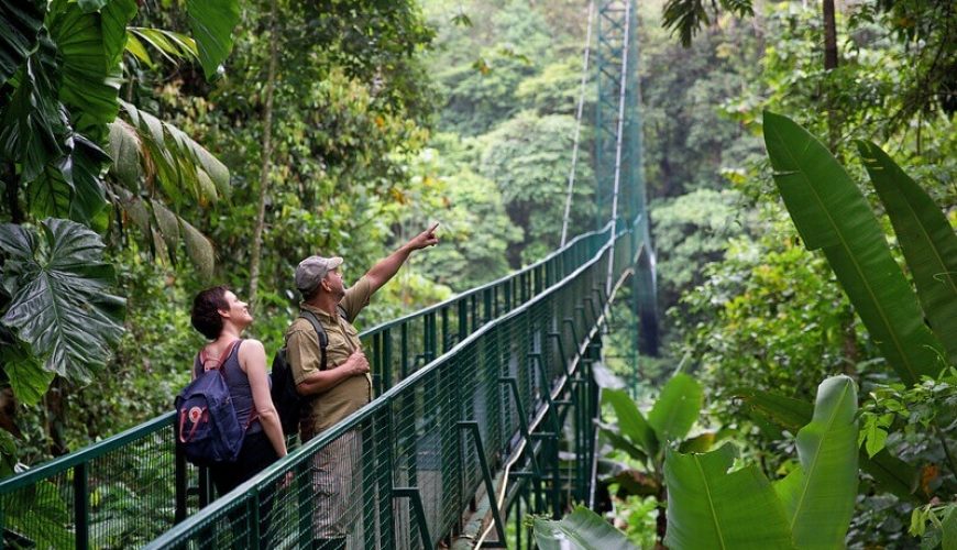Roots Travel votre agence de voyage