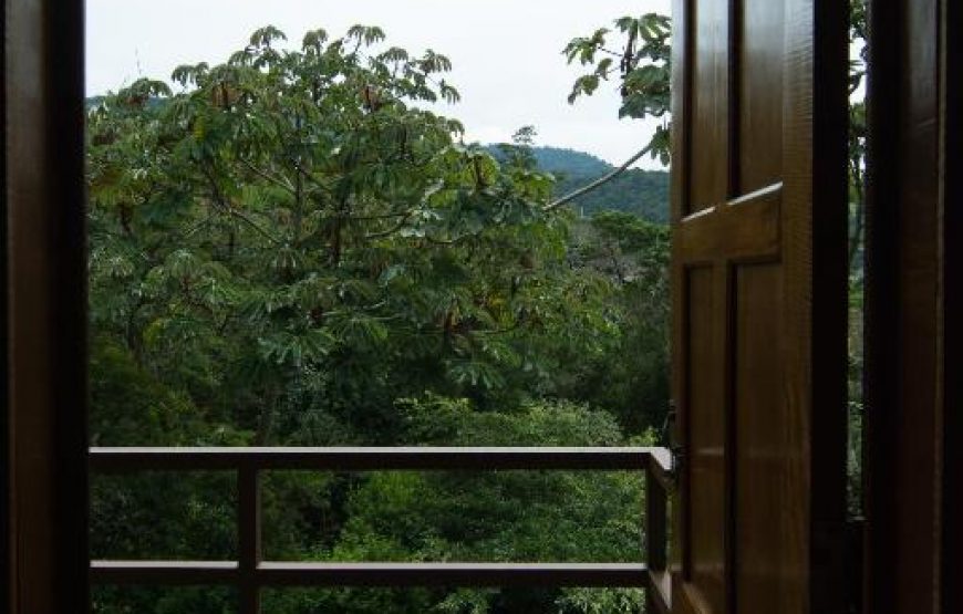 Chambre Double Standard