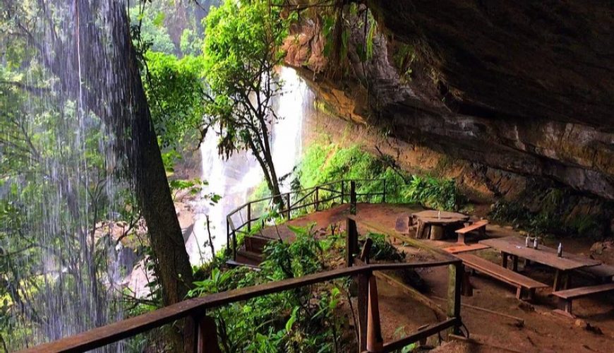 Roots Travel votre agence de voyage