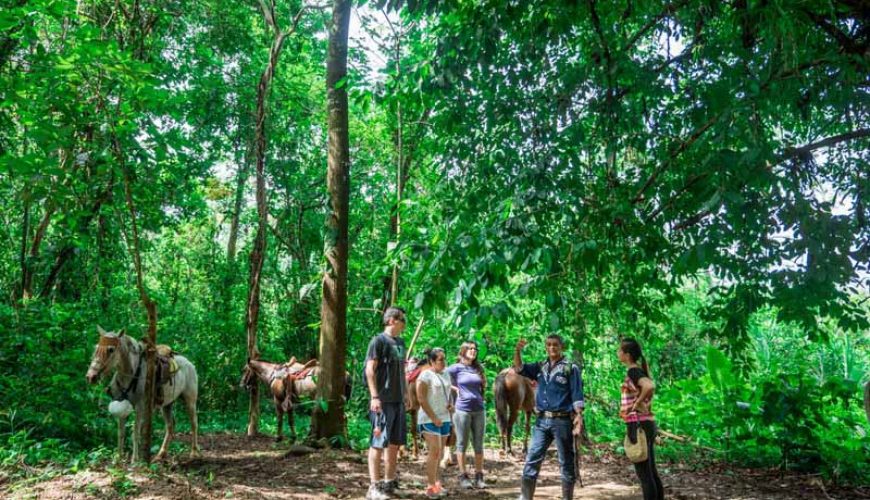Roots Travel votre agence de voyage