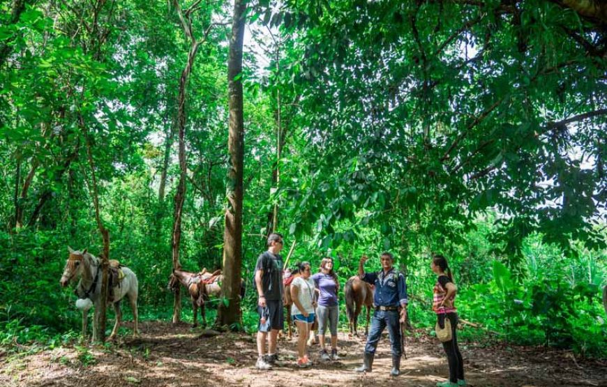 Visite de la communauté Quebrada Arroyo