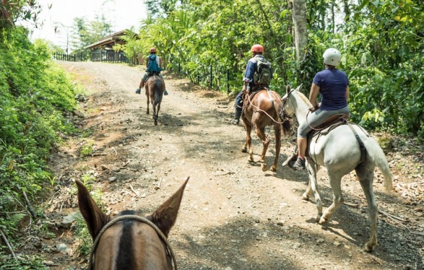 Visite de la communauté Quebrada Arroyo