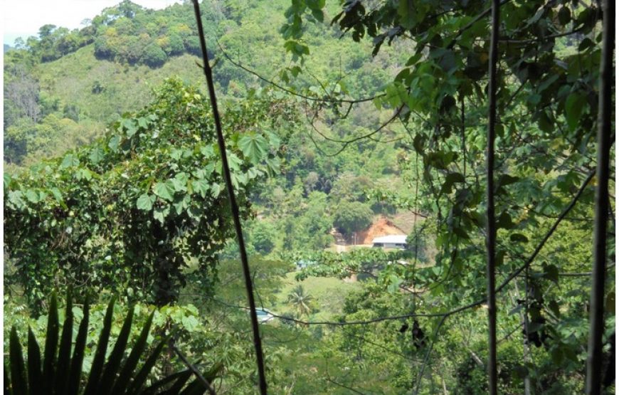 Visite de la communauté Quebrada Arroyo