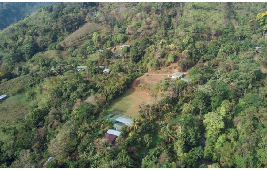 Visite de la communauté Quebrada Arroyo