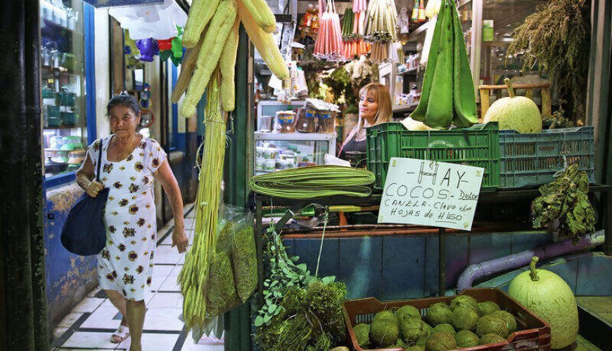 Roots Travel votre agence de voyage