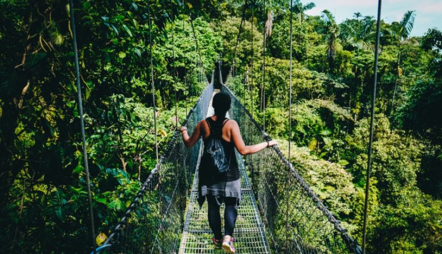 Roots Travel votre agence de voyage