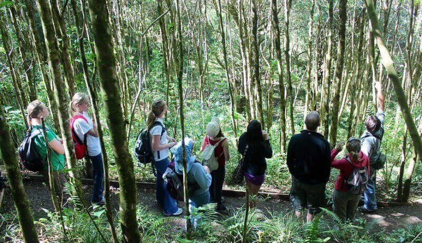 Roots Travel votre agence de voyage