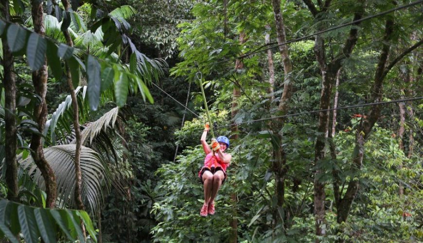 Roots Travel votre agence de voyage