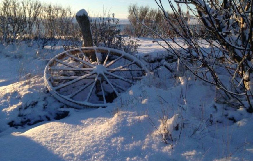 Bessastaðir Guesthouse