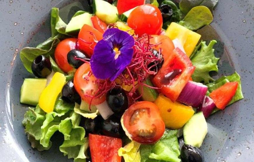 Vík í Mýrdal Hotel