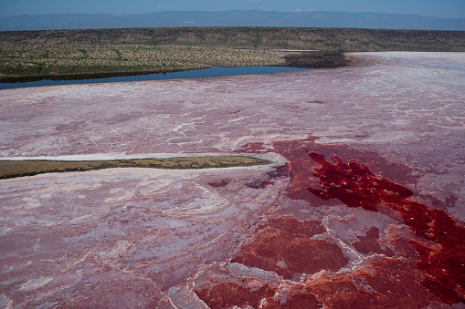 Jour 11 Ngorongoro - Lake Natron (4h00 de route, hors « pauses)