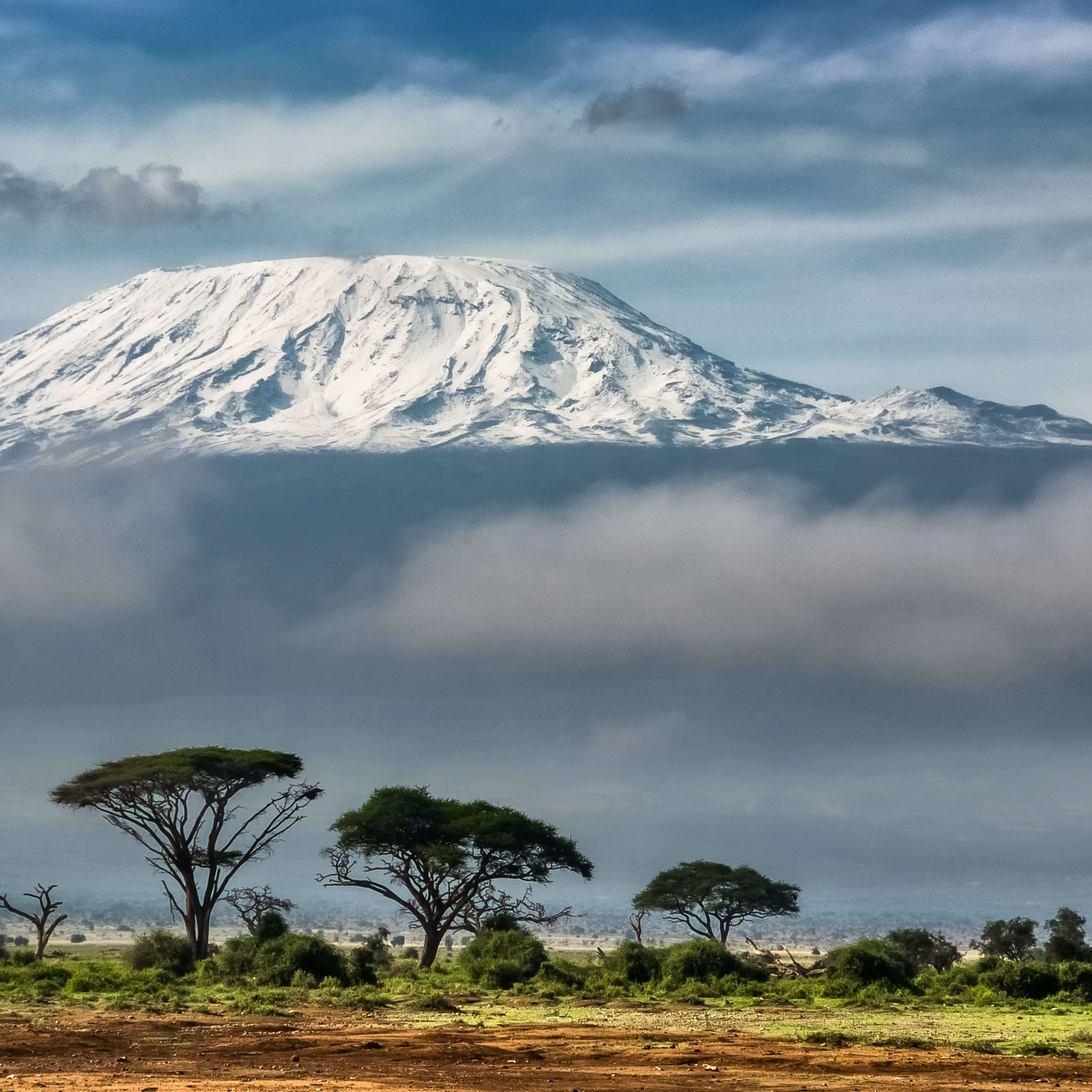 Jour 1  Paris - Kilimanjaro