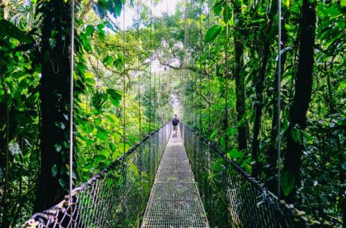 mistico-arenal-hanging-bridges-park-alajuela-la-fortuna-04