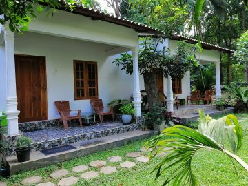 Roots Travel votre agence de voyage