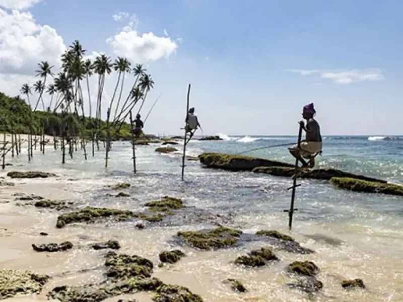 Sri lanka