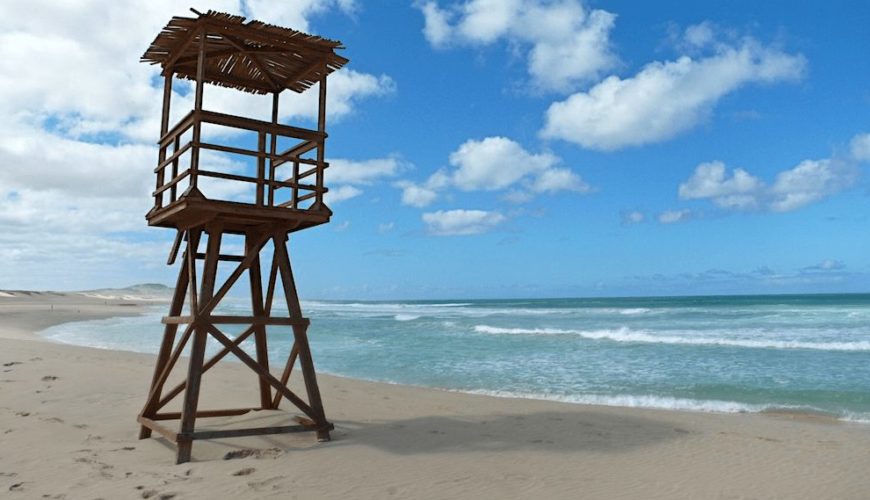 Roots Travel votre agence de voyage